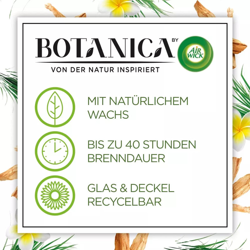 Botanica by AirWick Geurkaars in Glas Caribisch Zoetgras & Sandelhout 205g, 1 st