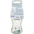 Biberon Babylove Sippy vert, dès 9 mois, 260 ml, 1 pièce