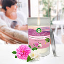 Bougie parfumée AirWick dans un verre Rose sauvage apaisante et jasmin, 1 pièce