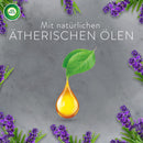 AIR WICK Luchtverfrisser Aroma-olie  Ontspannende lavendel Navulverpakking