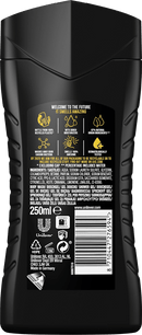 AXE Gel douche Alaska, 250 ml
