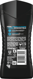 AXE Gel douche Alaska, 250 ml