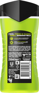 AXE Gel douche Epic Fresh, 250 ml