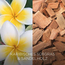 Bougie parfumée Botanica par AirWick en verre, herbe douce des Caraïbes et bois de santal, 205 g, 1 pièce