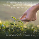 Bougie parfumée Botanica par AirWick en verre, herbe douce des Caraïbes et bois de santal, 205 g, 1 pièce
