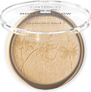 CATRICE Highlighter More Than Glow 010 Ultimate Platinum Glaze, 5,9 g