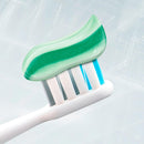 Dentagard Tandpasta met kruiden, 75 ml