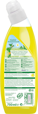 Frosch Toiletreiniger Citroen, 750 ml