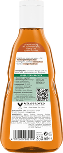 GUHL Shampoo voor intensieve versterking, 250 ml