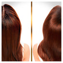 hair biology Conditioner Cleanse & Reconstruct, 160 ml