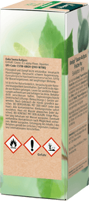 Kneipp Sauna-opgieting Eucalyptus & Berken, 100 ml