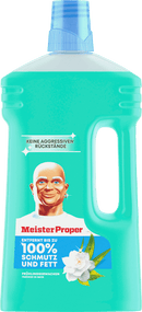 Meister Proper Allesreiniger 'Lenteontwaken', 1 l