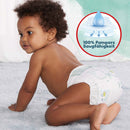 Pampers Harmonie Baby Pants Harmonie maat 6 Junior (15+ kg), maandbox, 132 stuks
