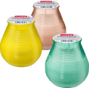 Bougie parfumée Profissimo Citronnelle, 1 pièce