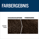 Schwarzkopf Men Perfect Tint barbe 80 brun foncé, 1 pièce