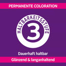 Schwarzkopf Perfect Mousse Mousse Colorante pour Cheveux Brun Moyen 500, 1 pc.