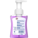 Sagrotan Schuimende Handzeep Vanille & Orchidee, 250 ml