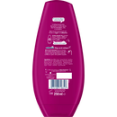 Schwarzkopf Schauma Après-shampooing Fresh it up !, 250 ml