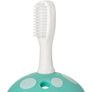 Reer BabyCare tandenborstel trainer met veiligheidsplaatje, 1 stuk