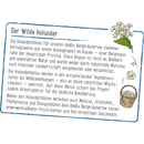 dmBio Kruidenthee, bergkruiden (20 x 1,75 g), 35 g