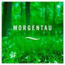 Désodorisant Febreze Rosée du matin extra forte, 300 ml