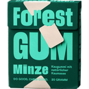 Forest GUM Gomme à mâcher à la menthe, sans sucre (10 pièces), 20 g