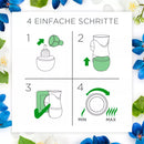 AirWick Geurstokje Viooltjes & Lentefrisheid navulling, 19 ml