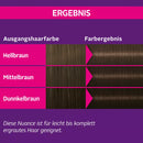 Schwarzkopf Perfect Mousse Mousse Colorante pour Cheveux Brun Moyen 500, 1 pc.