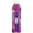Lenor Wasverzachter Amethyst Blossom Dream 56WL, 1,4 l