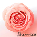 PANTENE PRO-V Conditioner Miracles Lift & Volume, 160 ml