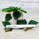 Sante Eyelash Serum Sérum d'extension de cils naturels, 3,5 ml