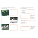 Carlsen Meine Freundin Conni - Geheimnis um Kater Mau. Mein tolles Film-Stickerbuch, 1 Stuk