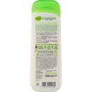 alverde NATURKOSMETIK Biologische Olijf en Biologische Aloë Vera Body Lotion, 250 ml