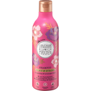 Langhaarmädchen Shampoo zijdezacht en sterk, 300 ml