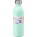 Profissimo Roestvrijstalen fles 600ml munt, 1 stuk