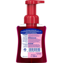 Sagrotan Savon mousse pour enfants rouge, 250 ml