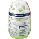 Denkmit Appel & Kiwi luchtverfrisser, 150 ml