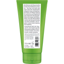 Plantur 39 Après-shampooing cheveux colorés et abîmés, 150 ml