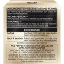 L'ORÉAL PARIS   Dagverzorging Age Perfect Cell Renaissance SPF 15, 50 ml