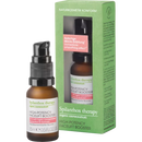 Spilanthox therapy Serum High-Potency Facelift Booster, 15 ml