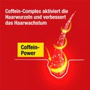 Alpecin Hair Tonic Caféine Liquide, 200 ml