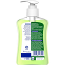 Savon liquide Sagrotan Thé vert et agrumes Soirées d'été, Hydra Care, 250 ml