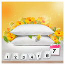 Lenor Wasverzachter Summer Flowers 38WL, 0,95 l