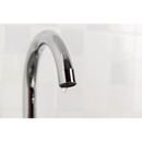 Heitmann Pure Descaler Nettoyant calcaire avec poudre d'acide citrique, 350 g