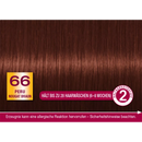 Schwarzkopf Country Colors Intensive teinte 66 Brun Nougat du Pérou, 1 pièce