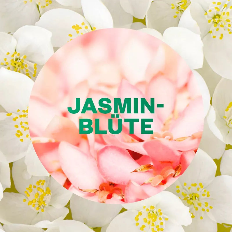 AirWick Luchtverfrisser Active Fresh Jasmine Blossom Navulling, 228 ml