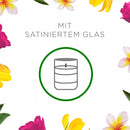 Bougie parfumée AirWick en verre Prairie fleurie 105, 1 pièce