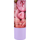 Rouge à lèvres Catrice Secret Garden Matte C02 Kiss And Tell, 3,6 g