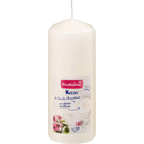 Profissimo Kaars glad 150/60 champagne, 1 st