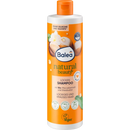 Balea Shampooing beauté naturelle boucles, 400 ml